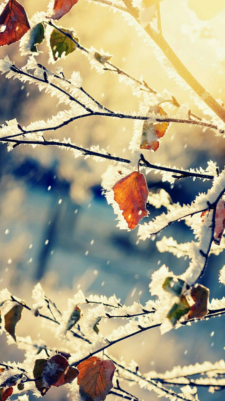 winter