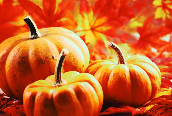 Happy Halloween