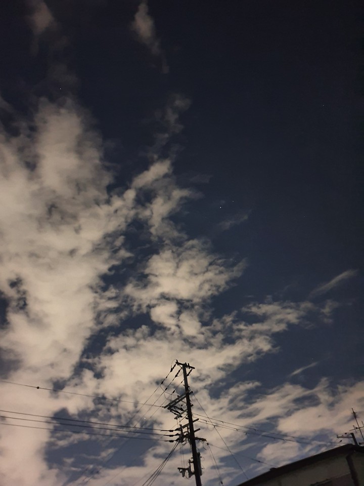 明るい夜 bright night
