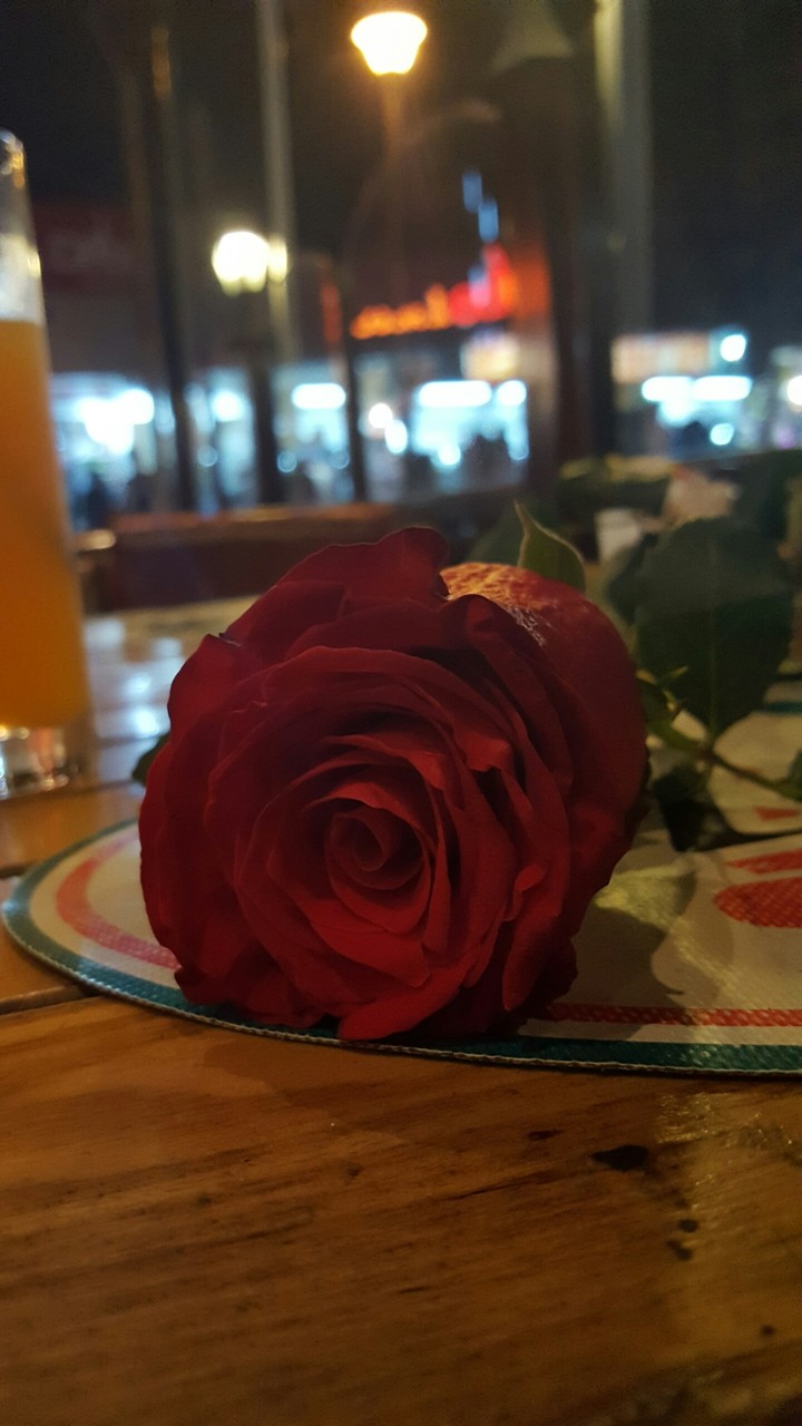 Roses night