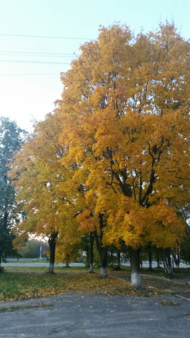 осень