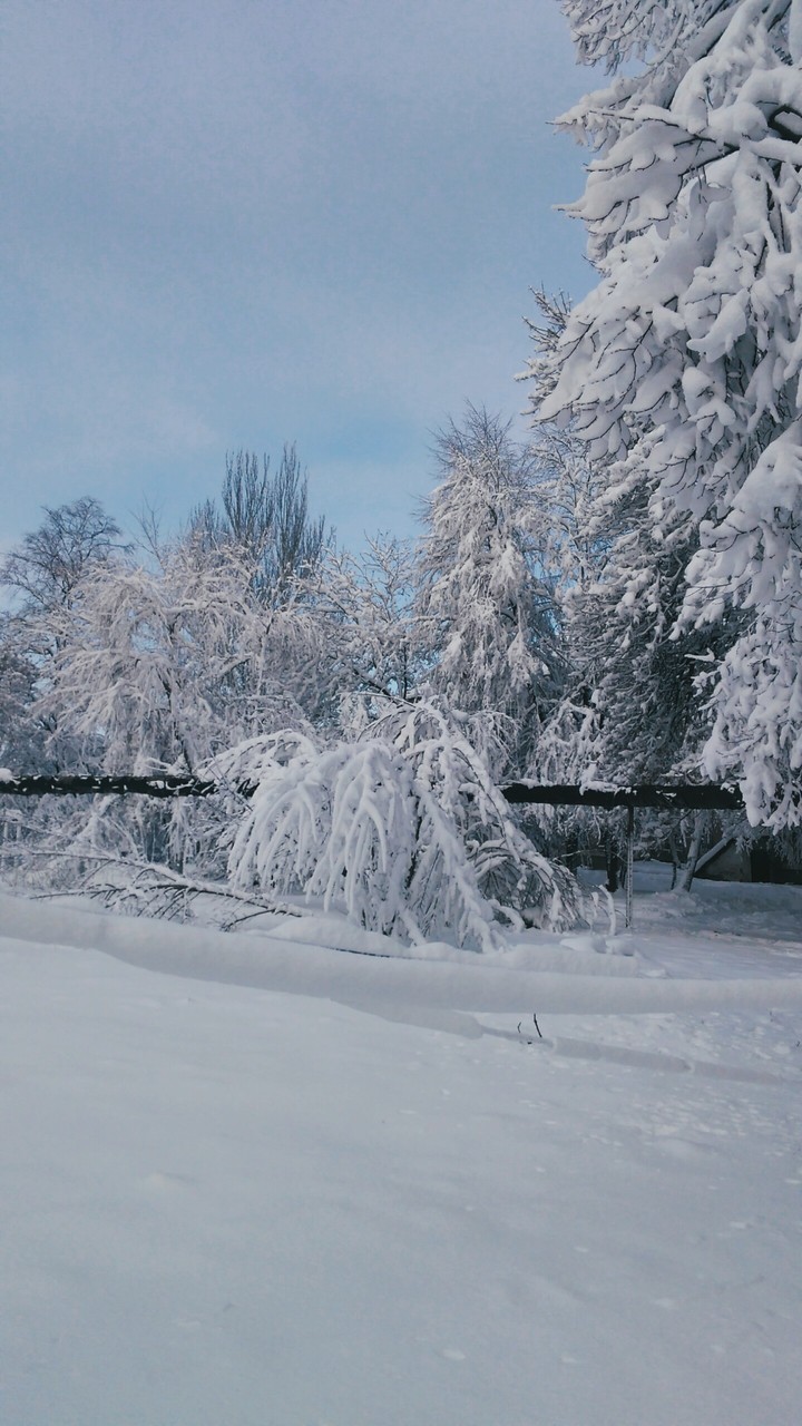 winter