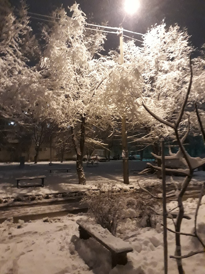 зима