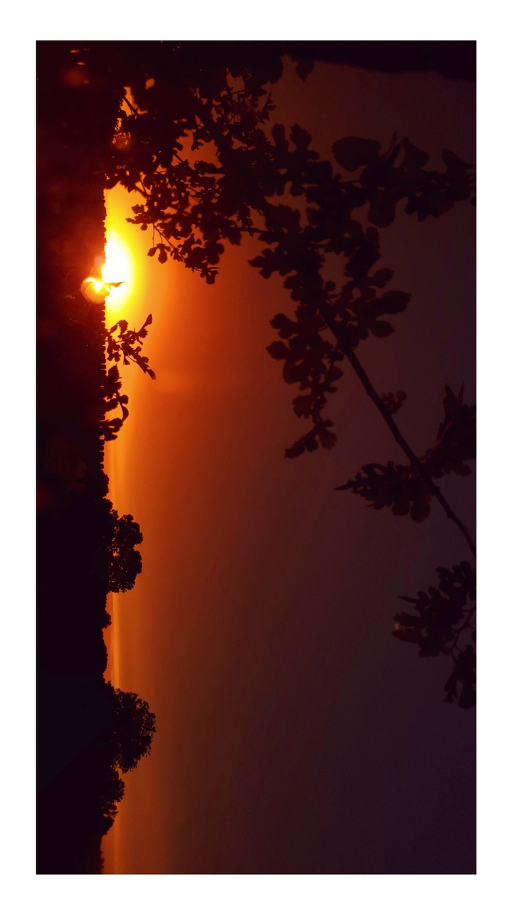Orange SKY..