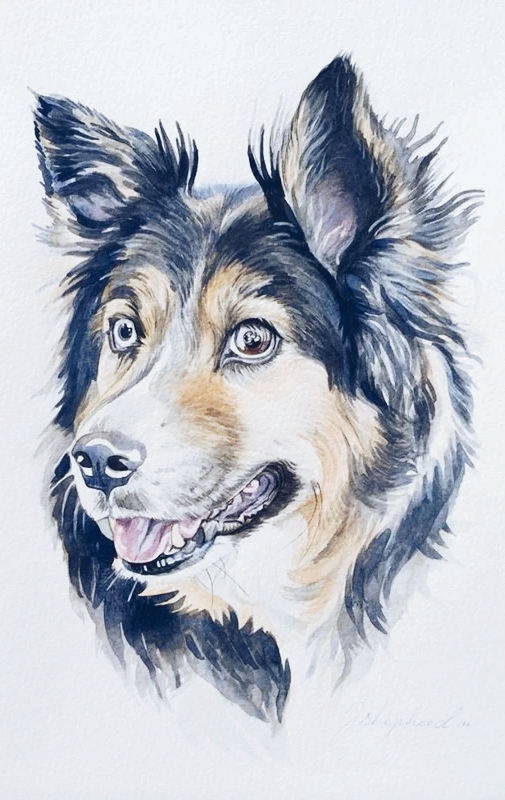 dog