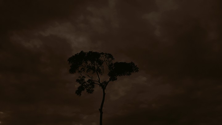 Lonely