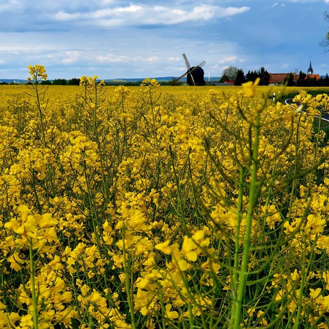 Spring...