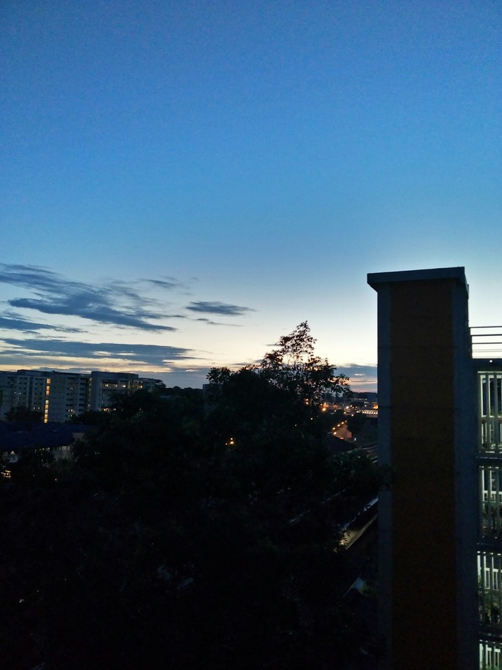 gold blue