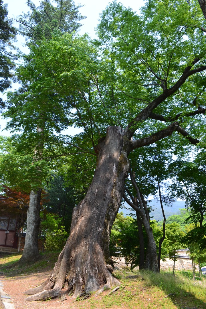 산이미지