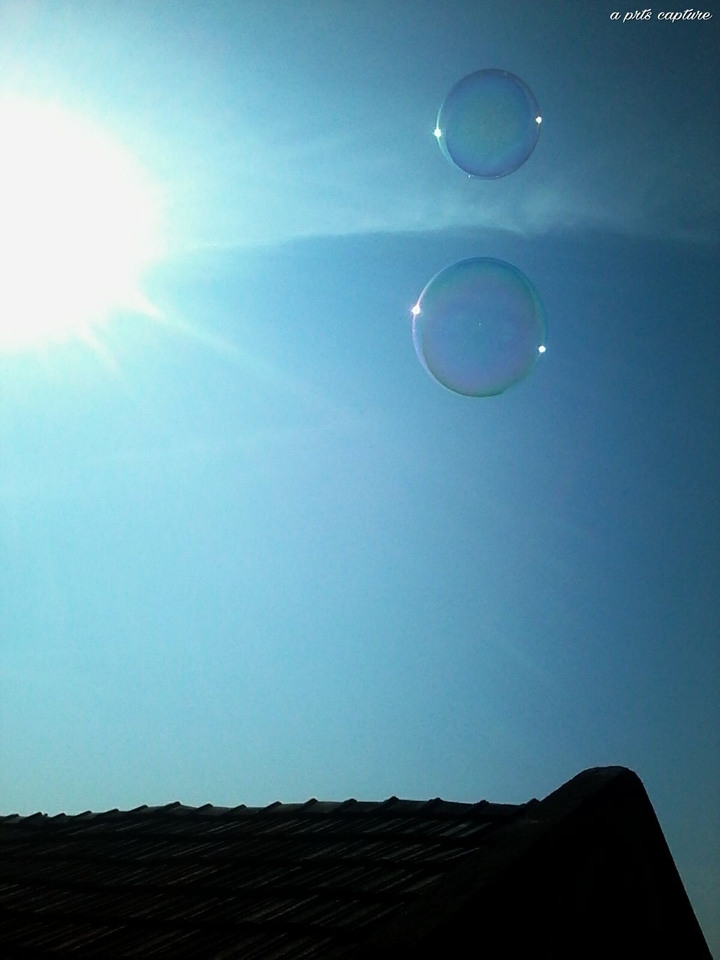 bubly sun
