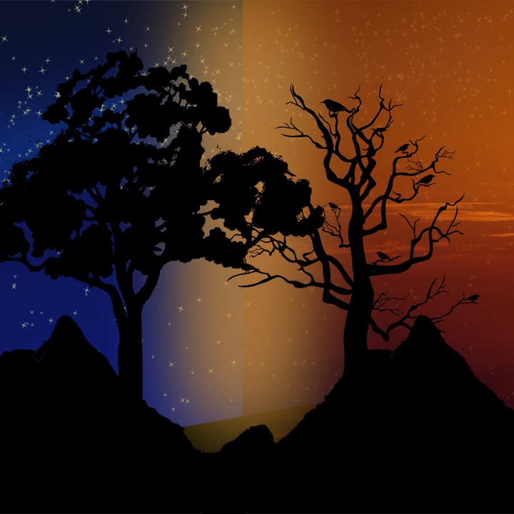 Day and Night