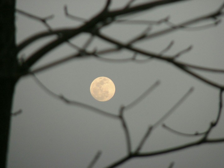 Full moon, grey sky