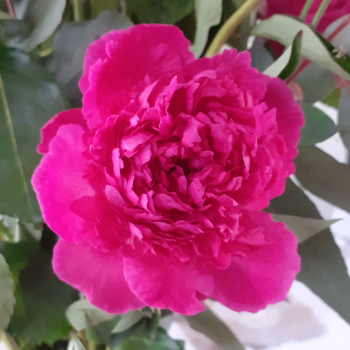 bouquet rose pour la fête des mères