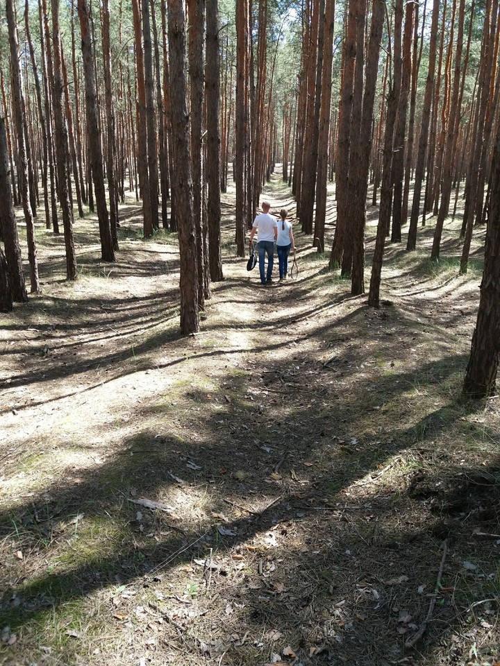 forest