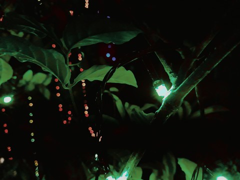 green diwali