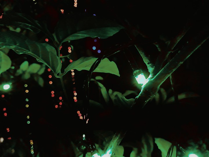 green diwali