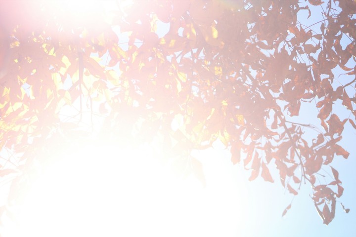 Sunshiny Day