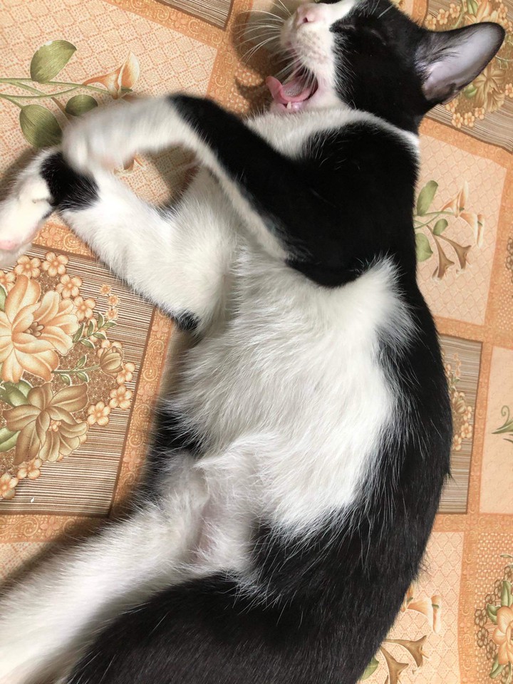 Sleepy