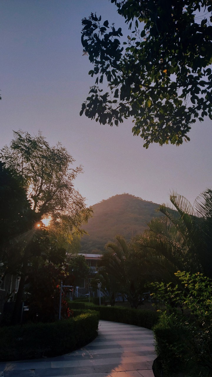 morning vibes