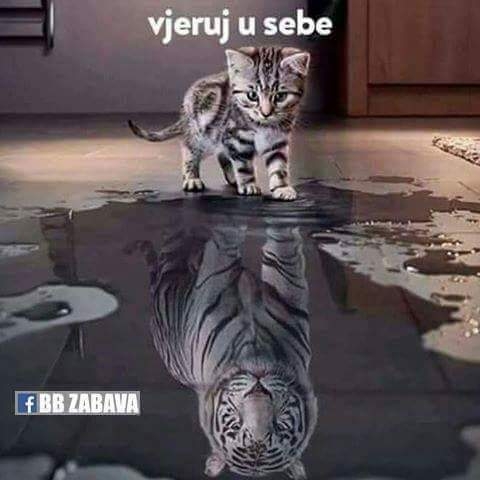 hehhwhw