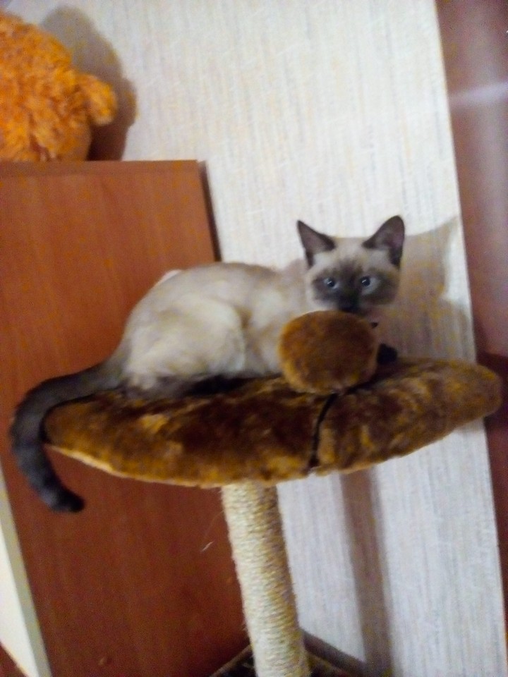 спрятался...