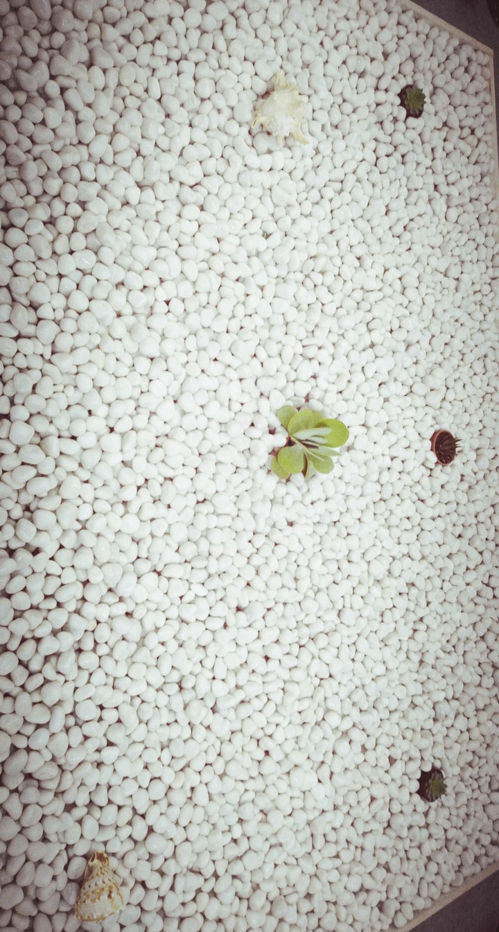 pebbles