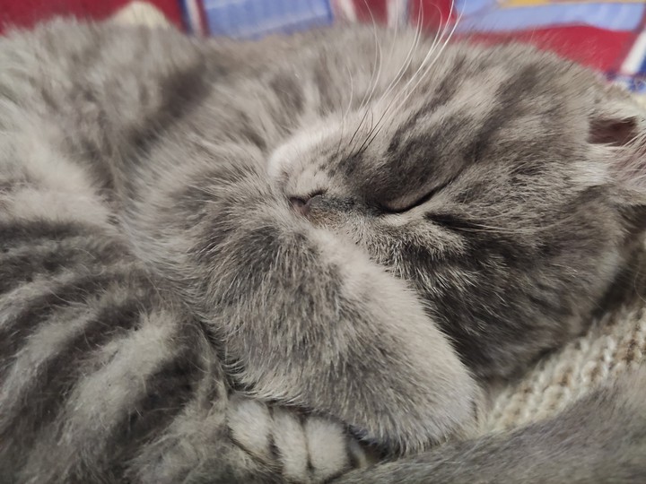 Sleepy