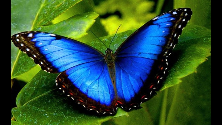 beautiful picture ???