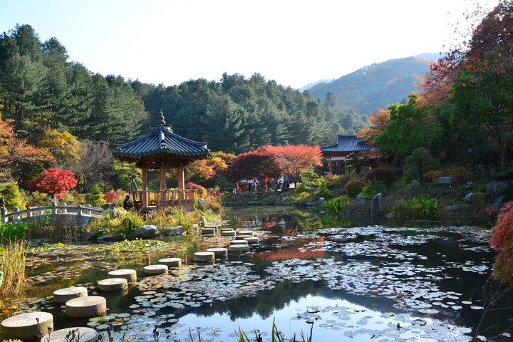 수목원이미지
