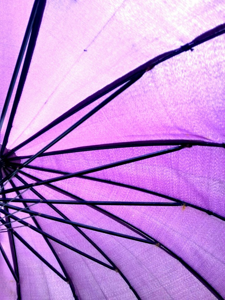 umbrella