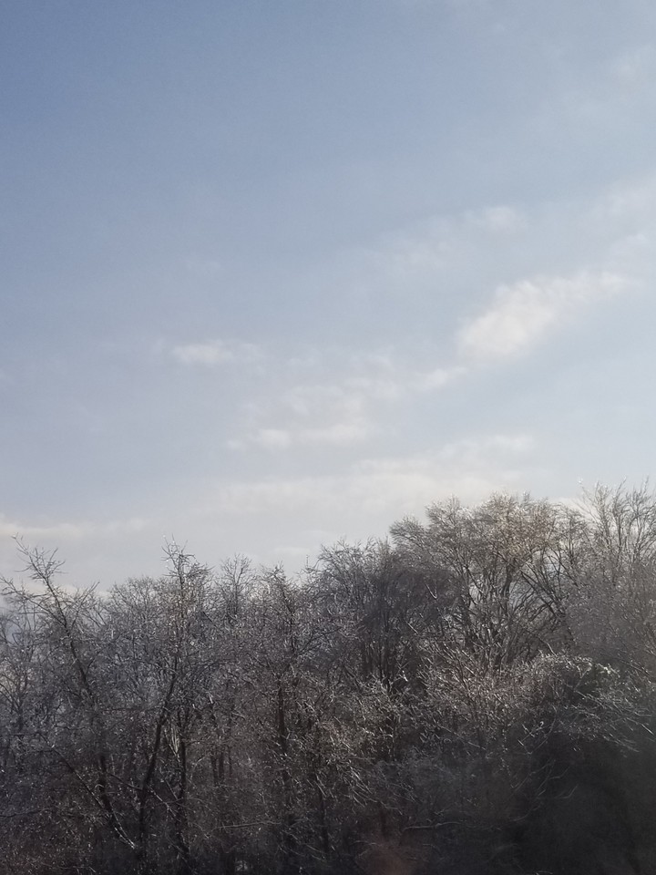 Icy Winter Landscape