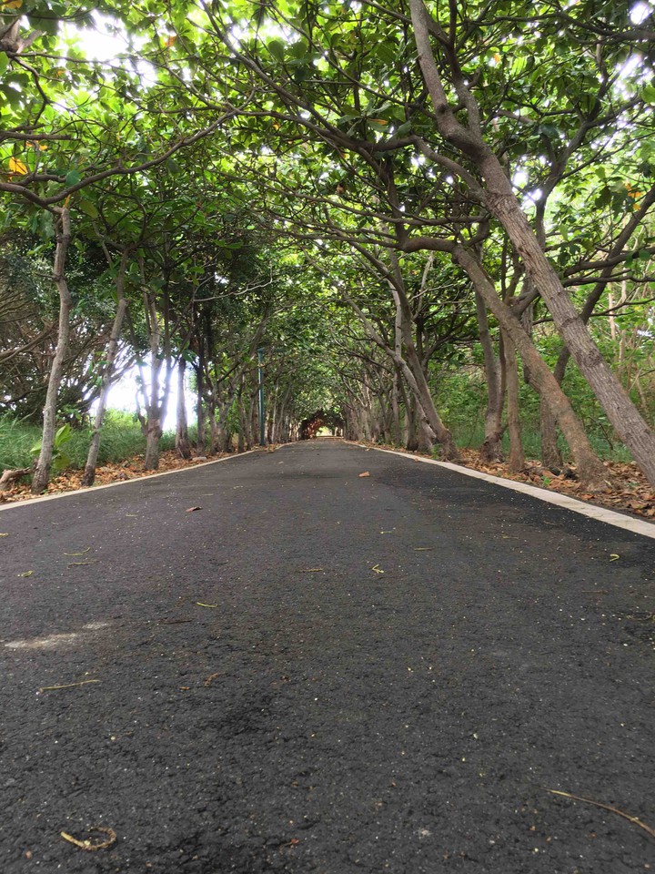trail