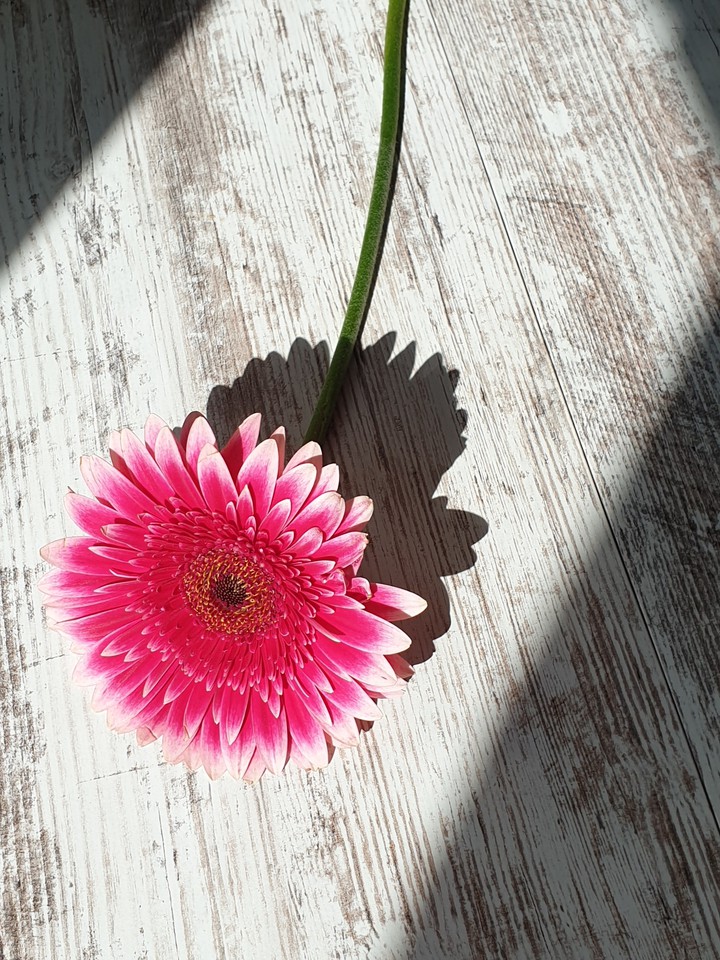 pink