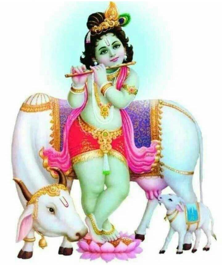 Lord Krishna