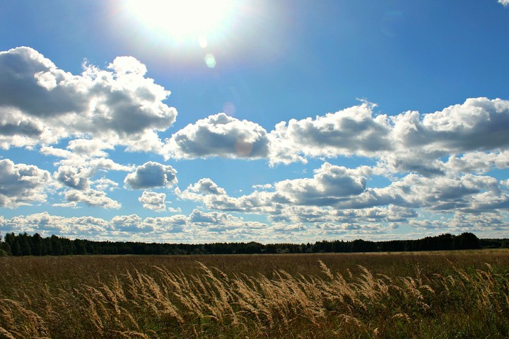 field