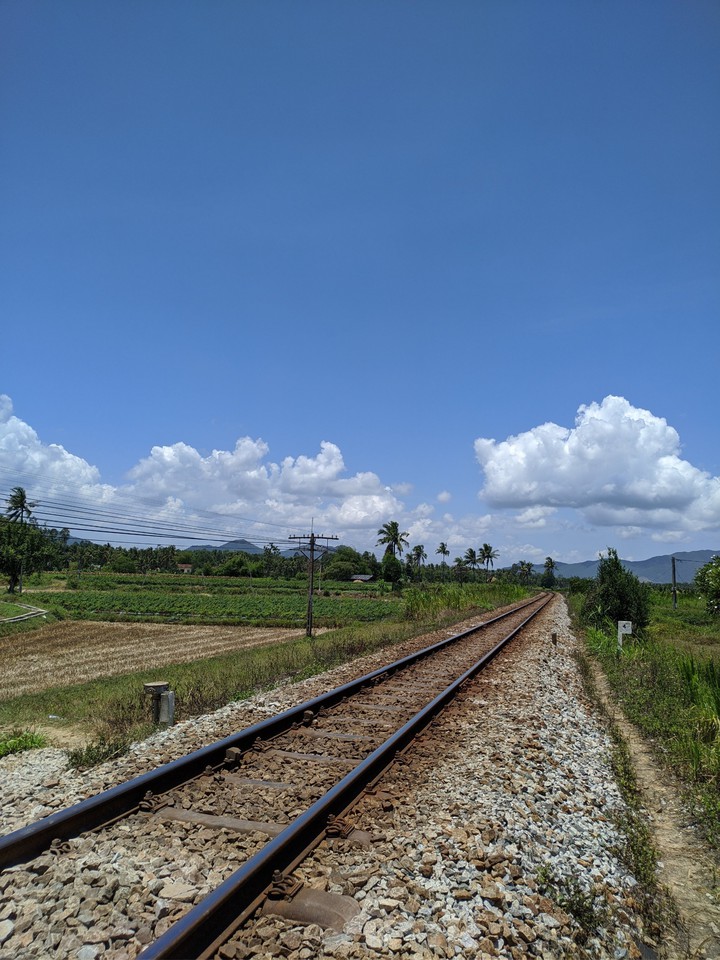 train