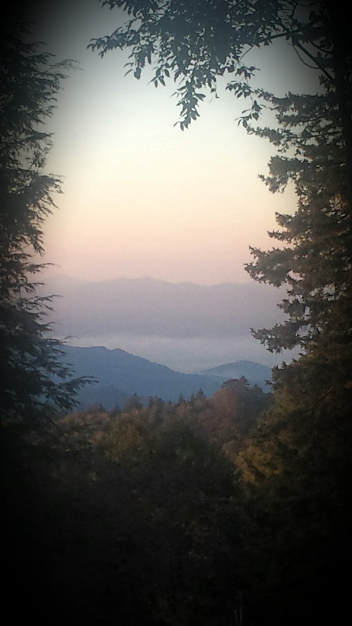 calming view