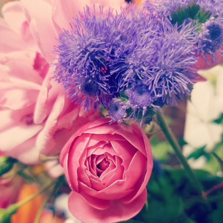 Blossoming