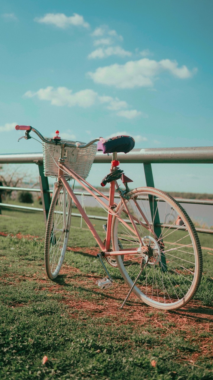 Beautiful bicycle