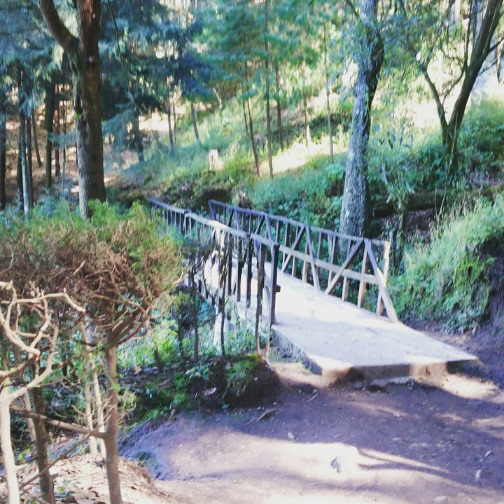 walk