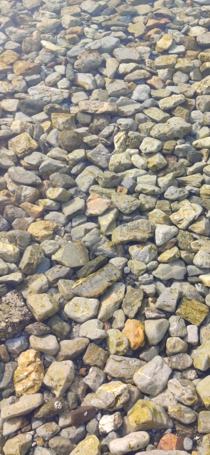 Rocks