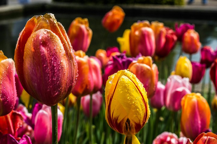 Colourful drops....