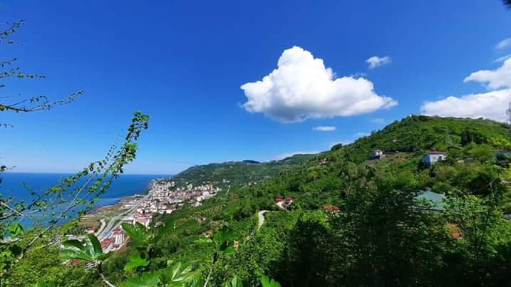 Turkey / Ordu