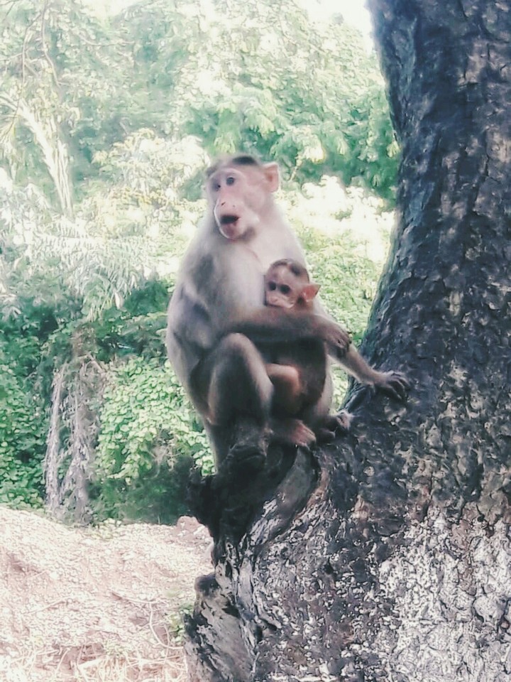 mother and baby cute scene. ❤❤❤❤❤❤❤❤❤❤