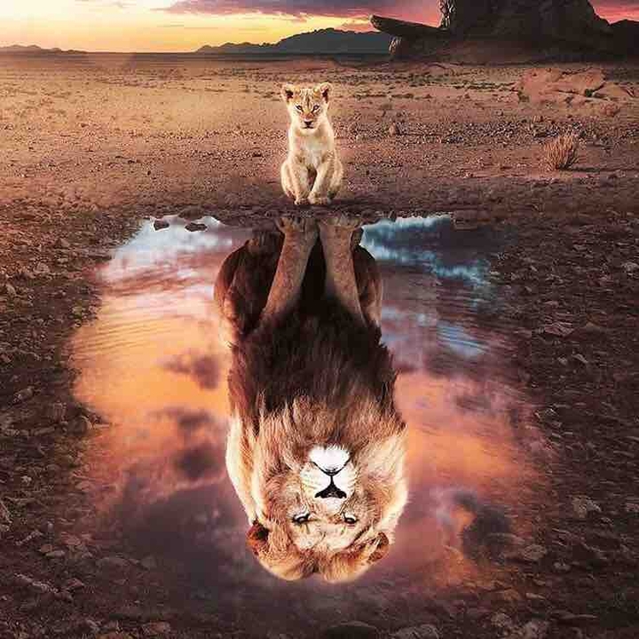 the lion king