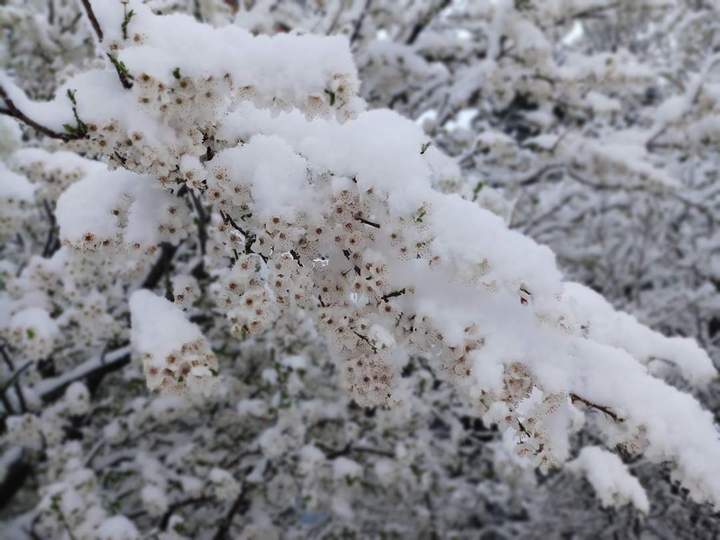 winter/spring ?