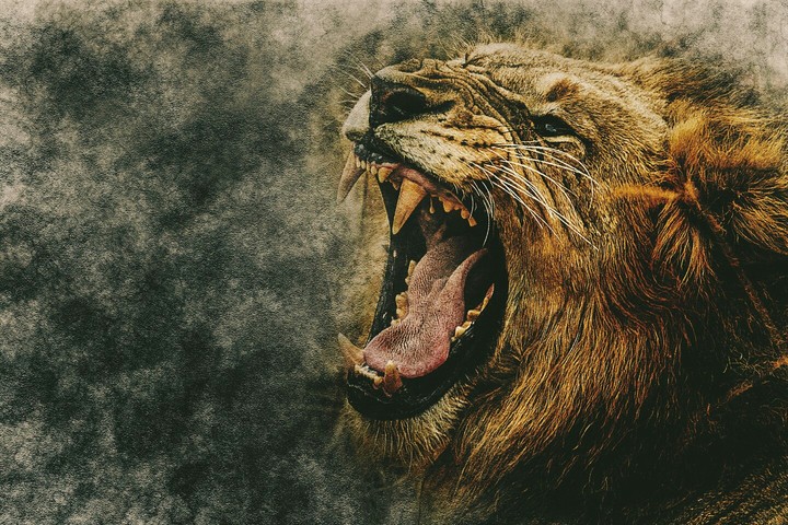 Leone)