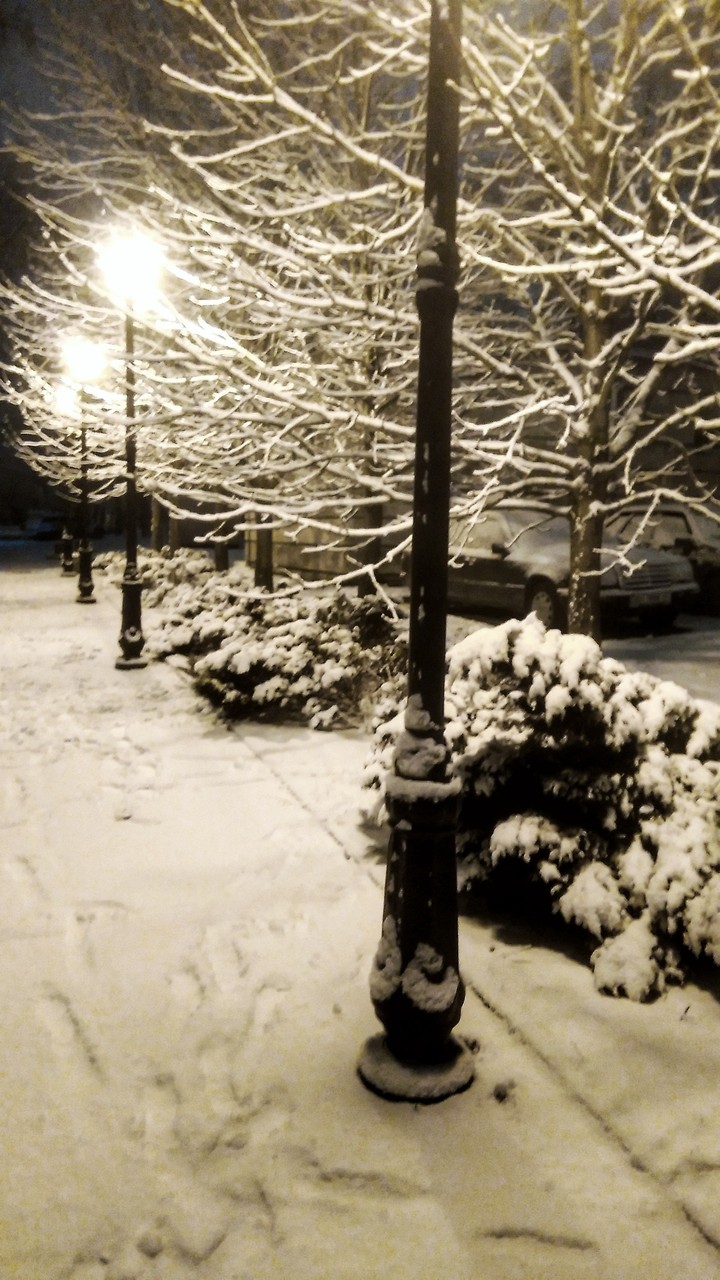 winter