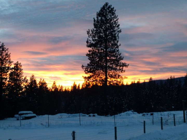 Northern Sky on Fire