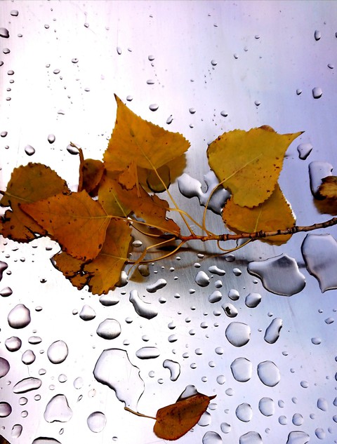 Autumnal tears